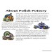 Polish Pottery Oval Baker 11-inch Poppies UNIKAT - B007K7ZPWE